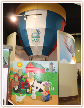 Balloon Ride and Photo Wall